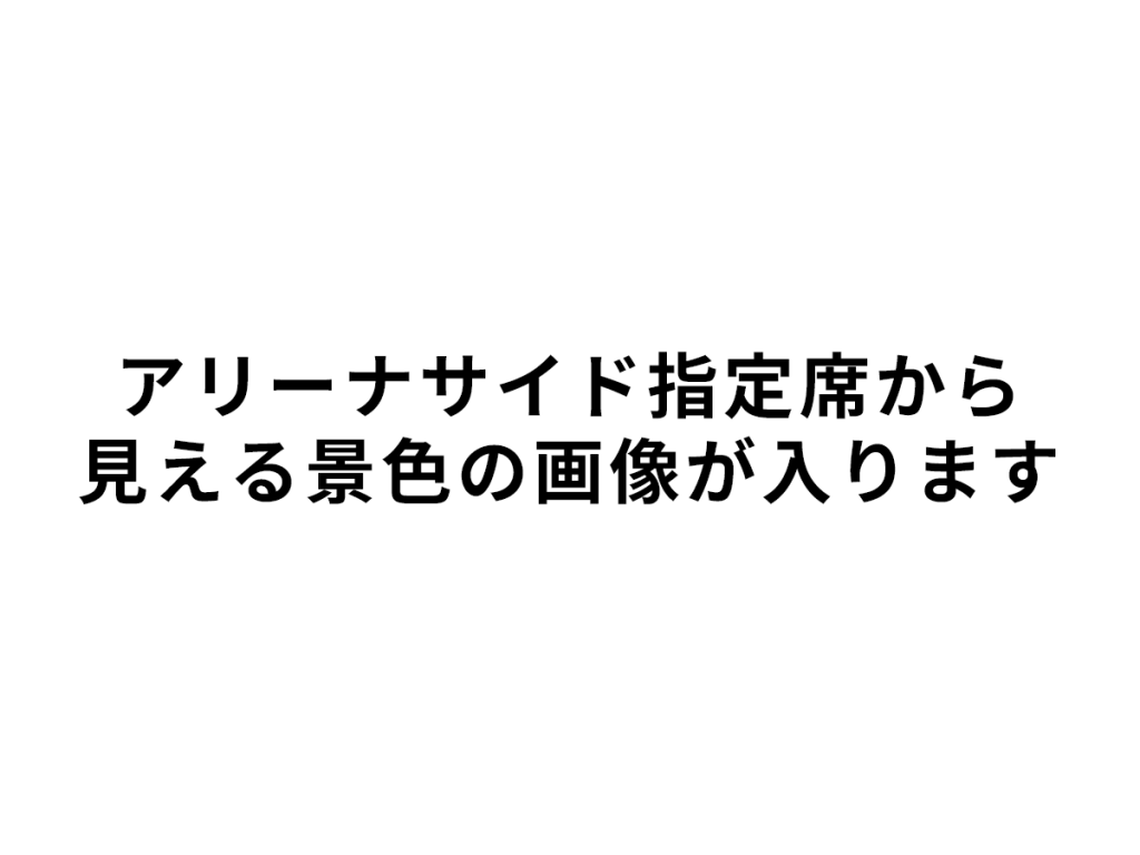 アリーナサイド指定席 から見える景色